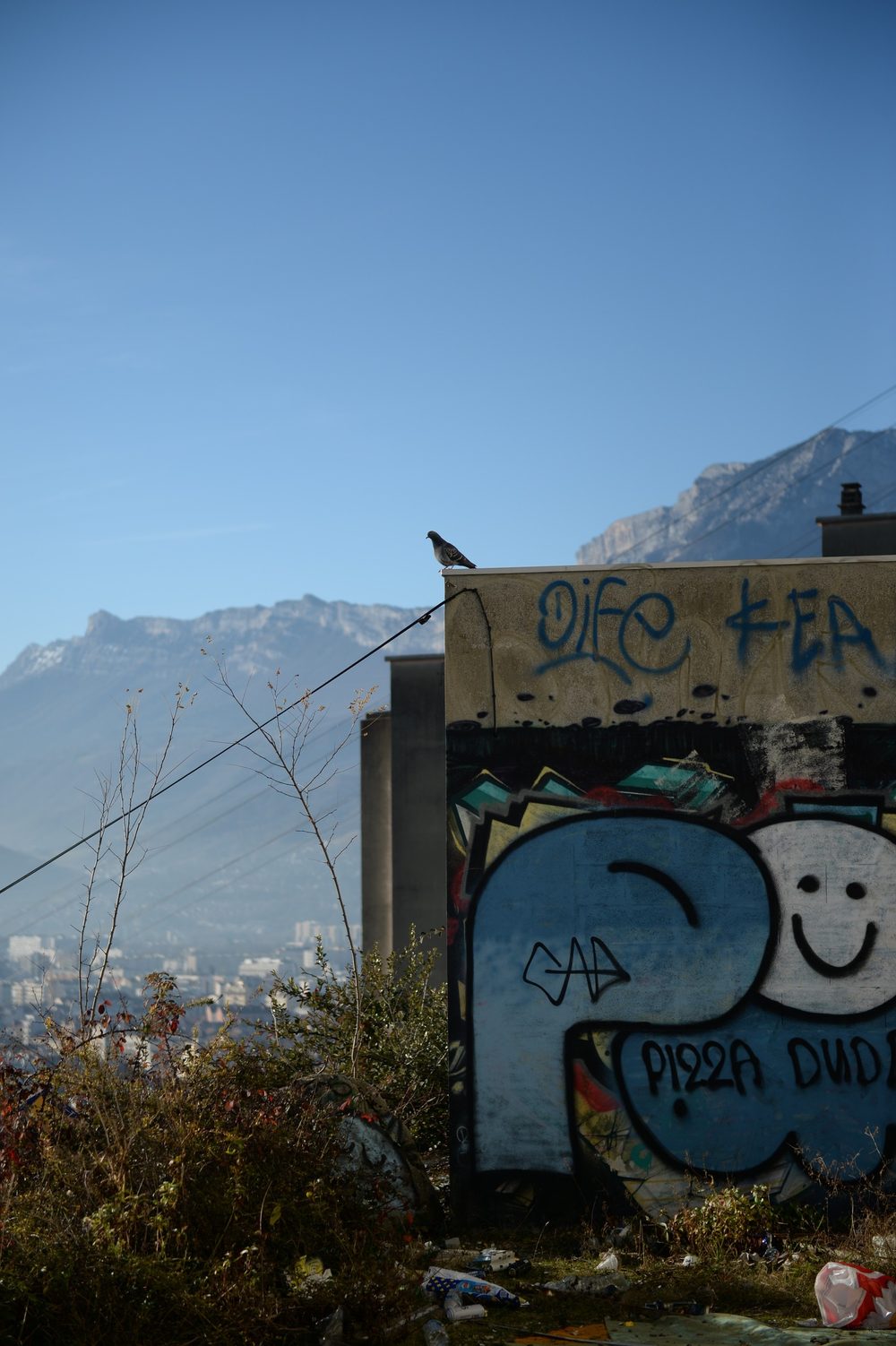 Photograph by Daniel Goron.